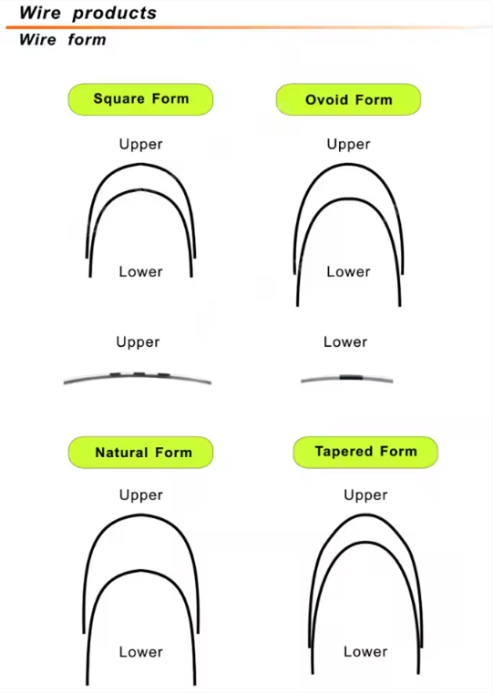 archwire types
